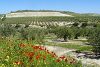 DSC01769