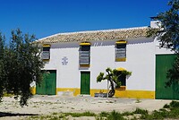 DSC01775