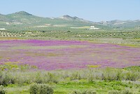 DSC01752