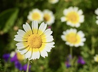 DSC01780