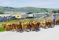 DSC01835
