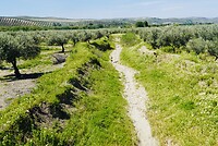 DSC01833