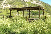 DSC01822