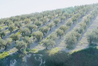 DSC01814