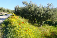 DSC01801