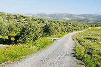DSC01807