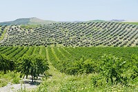 DSC01889