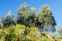 DSC01858