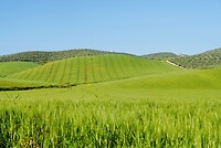 DSC01860
