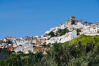 DSC01866