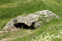 DSC01874