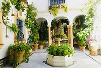 DSC01935