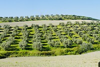 DSC01911