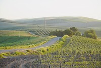DSC01901