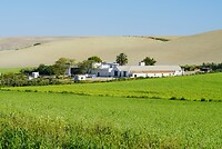 DSC01908