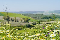 DSC01912
