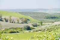 DSC01913