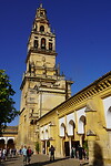 DSC01967