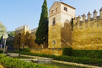 DSC01949
