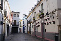 DSC01953