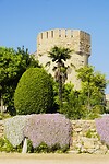DSC02037
