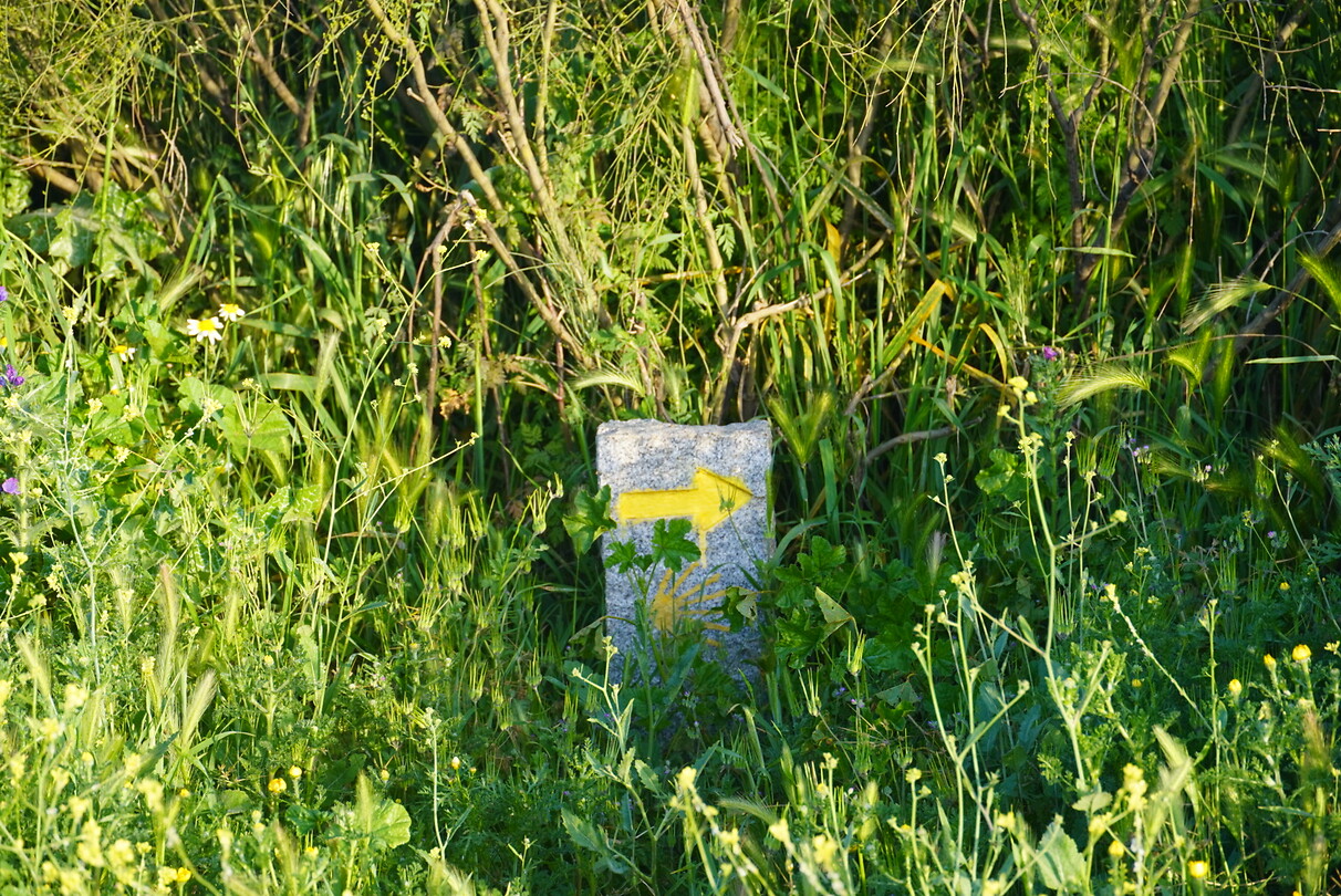 DSC02042