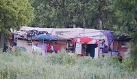 DSC02041