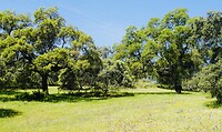 DSC02070