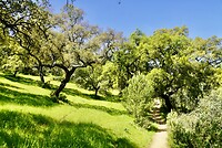 DSC02068