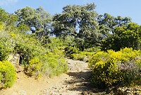 DSC02051