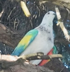 DSC02101