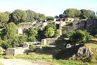 DSC02076