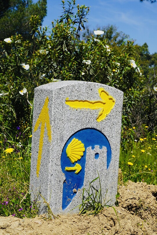 DSC02071