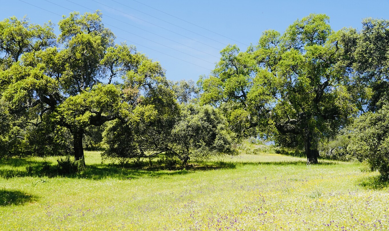 DSC02070