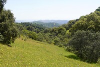 DSC02069