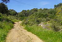 DSC02067