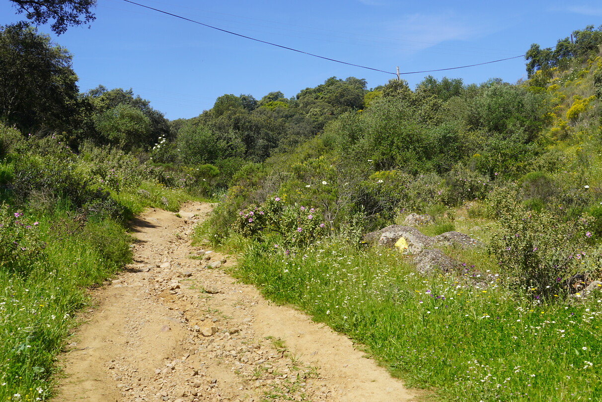 DSC02067