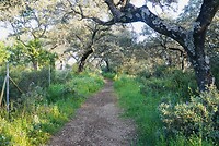 DSC02110