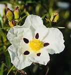 DSC02121