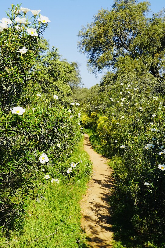 DSC02128