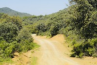 DSC02133