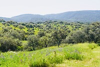 DSC02134