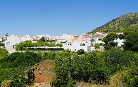 DSC02135