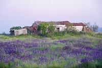 DSC02152