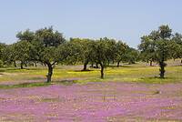 DSC02193