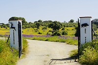 DSC02180