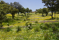 DSC02190