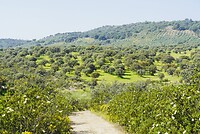 DSC02177