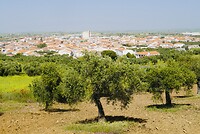 DSC02194