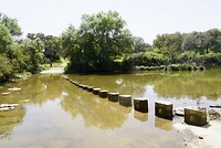 DSC02184